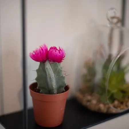 Emerald 110m2 Entire Floor Steps To City's Heart