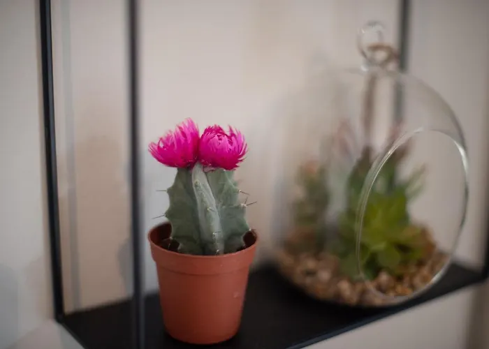 Emerald 110m2 Entire Floor Steps To City's Heart